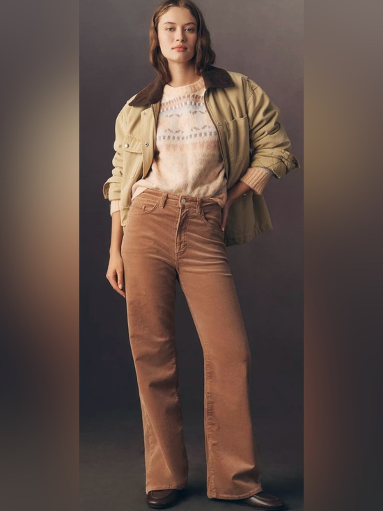 Pilcro Denim - Austyn Tan Corduroy 29 Anthropologie High Rise Wide Leg Jeans Pants NWOT $158